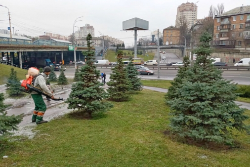 У Солом'янському районі розпочали роботу з попередження незаконних рубок ялинок у парках та скверах