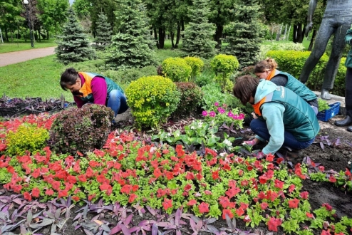 Працівники КП УЗН Солом’янського району продовжують прикрашати парки та сквери квітковими композиціями