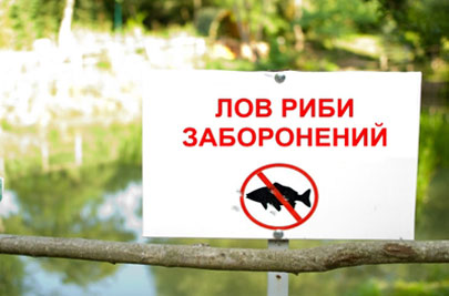 Встановлені терміни заборони на лов водних біоресурсів у весняно-літній період