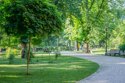 У Солом'янському районі може з’явитися ще 2 нові зелені зони